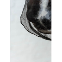 Nasenriemen Kentucky Schwarz