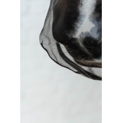 Nasenriemen Kentucky Schwarz