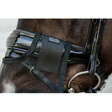 Nasenriemen Kentucky Schwarz