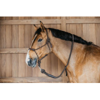 Dy'on Longierleine mit Karabinerhaken Braun Dy'on Longierleine mit Karabinerhaken Braun