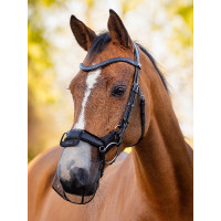 Nasennetz LeMieux Comfort Shield Drop Schwarz Nasennetz LeMieux Comfort Shield Drop Schwarz