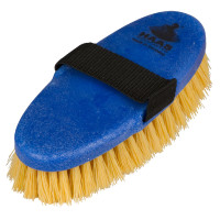 Stopfen Wurzel Kerbl Zufällig Blau Stopfen Wurzel Kerbl Zufällig Blau