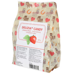 Delizia® Caramella Kerbl Erdbeere / Minze Gr&amp;amp;amp;amp;amp;amp;amp;amp;uuml;n