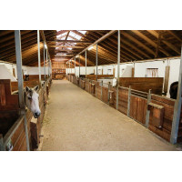 IPCam 360 FHD Kompaktkamera Kerbl Schwarz IPCam 360 FHD Kompaktkamera Kerbl Schwarz