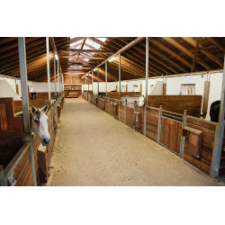 IPCam 360 FHD Kompaktkamera Kerbl Schwarz