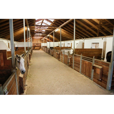 IPCam 360 FHD Kompaktkamera Kerbl Schwarz