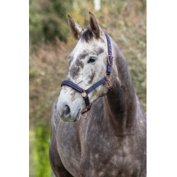 Royal Covalliero Pferdehalfter Royal Covalliero Pferdehalfter