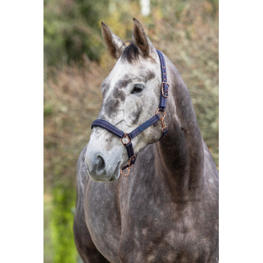 Royal Covalliero Pferdehalfter Royal Covalliero Pferdehalfter
