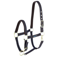 Royal Covalliero Pferdehalfter Braun / Hellblau