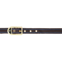 Royal Covalliero Pferdehalfter Blau / Karamell