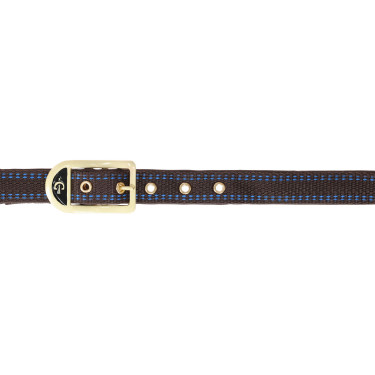 Royal Covalliero Pferdehalfter Braun / Hellblau