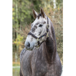 Royal Covalliero Pferdehalfter Braun / Hellblau