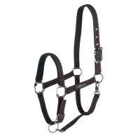 Royal Covalliero Pferdehalfter Schwarz / Fuchsia