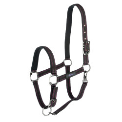 Royal Covalliero Pferdehalfter Schwarz / Fuchsia