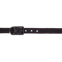 Royal Covalliero Pferdehalfter Blau / Karamell