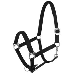 Halfter Doria Covalliero Schwarz