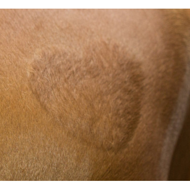 Pochoir de tonte Kerbl