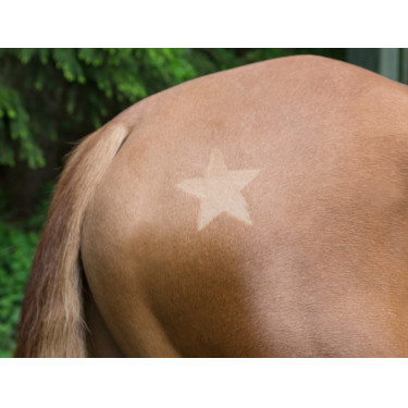 Pochoir de tonte Kerbl