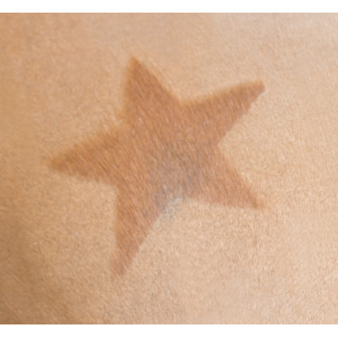 Pochoir de tonte Kerbl