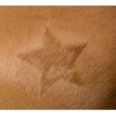 Pochoir de tonte Kerbl