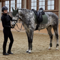 Tapis de selle mixte Adepto Horze Rose aube Tapis de selle mixte Adepto Horze Rose aube