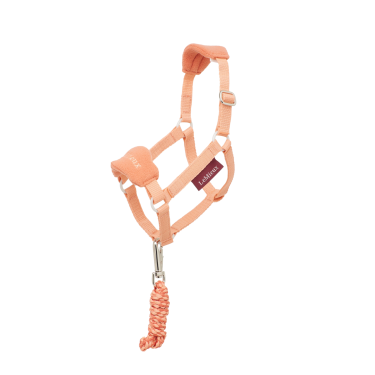 Halfter für Hobby Horse LeMieux Aprikose Orange