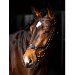 Bridon LeMieux Arika anatomisch verstellbares Reithalfter Schwarz / Silber