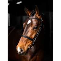 Bridon LeMieux Arika Cavesson Schwarz / Silber Bridon LeMieux Arika Cavesson Schwarz / Silber