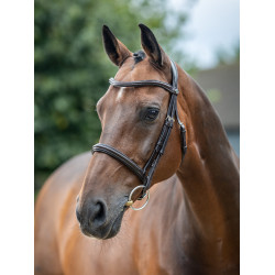 Bridon LeMieux Arika Cavesson Braun / Silber Bridon LeMieux Arika Cavesson Braun / Silber