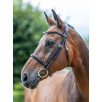 Bridon LeMieux Arika Cavesson Schwarz / Silber