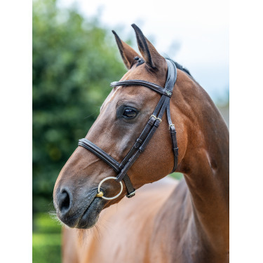 Bridon LeMieux Arika Cavesson Braun / Silber Bridon LeMieux Arika Cavesson Braun / Silber