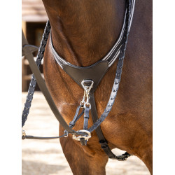 Elastischer Vorderzeug Arika LeMieux Schwarz / Silber