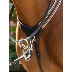 Elastischer Vorderzeug Arika LeMieux Schwarz / Silber