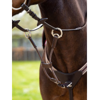 Martingale LeMieux élastique avec protection de poitrail Braun / Silber