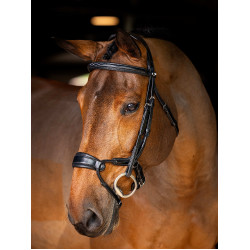 Bridon LeMieux Kudos anatomisch verstellbarer Nasenriemen Schwarz / Silber