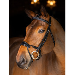 Bridon LeMieux Kudos anatomisch verstellbarer Nasenriemen Schwarz / Silber