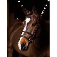 Doppelzaum LeMieux Kudos Havanna / Messing Braun