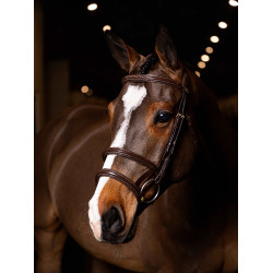 Doppelzaum LeMieux Kudos Havanna / Messing Braun