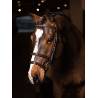 Doppelzaum LeMieux Kudos Havanna / Messing Braun