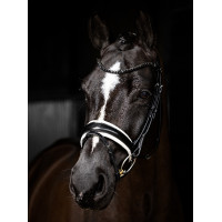 Bridon LeMieux Kudos Patent Dressur Schwarz Bridon LeMieux Kudos Patent Dressur Schwarz