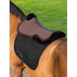 Merino+ Stoßdämpfer LeMieux Braun / braun