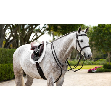 Hunter Merino+ ProSorb Schabracke LeMieux Hunter Merino+ ProSorb Schabracke LeMieux