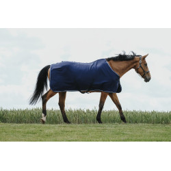 Trocknungsdecke Riding World Trocknungsdecke Riding World