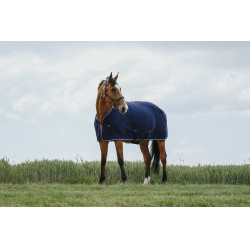 Trocknungsdecke Riding World Trocknungsdecke Riding World