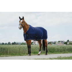 Trocknungsdecke Riding World Trocknungsdecke Riding World