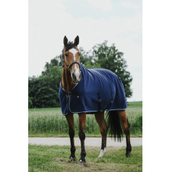 Trocknungsdecke Riding World Trocknungsdecke Riding World