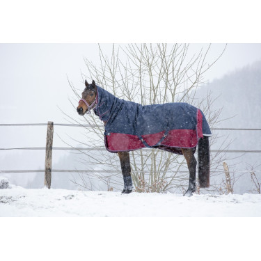 Equithème Tyrex 1200 D Combo Decke Equithème Tyrex 1200 D Combo Decke