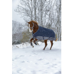 Equithème Tyrex 600 D 50g Decke Equithème Tyrex 600 D 50g Decke