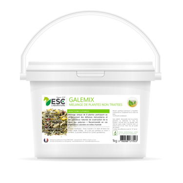 Galemix ESC Laboratoire Galemix ESC Laboratoire
