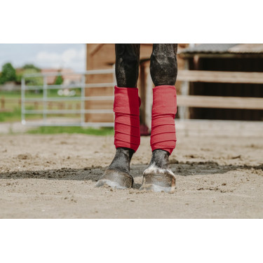 Polo-Bandagen Equithème, 4er-Set Polo-Bandagen Equithème, 4er-Set